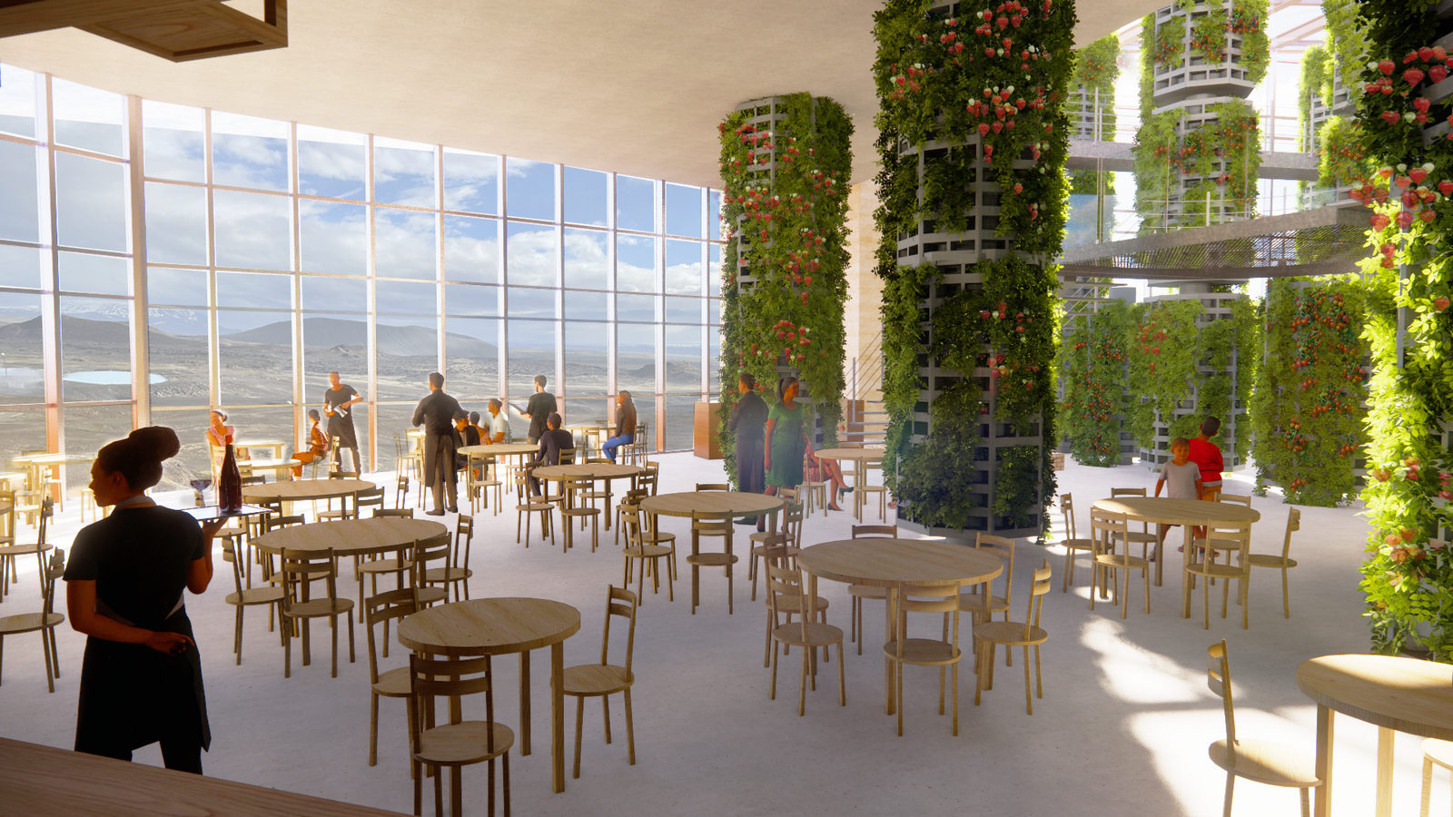 Restaurant Island — concours — photo 6