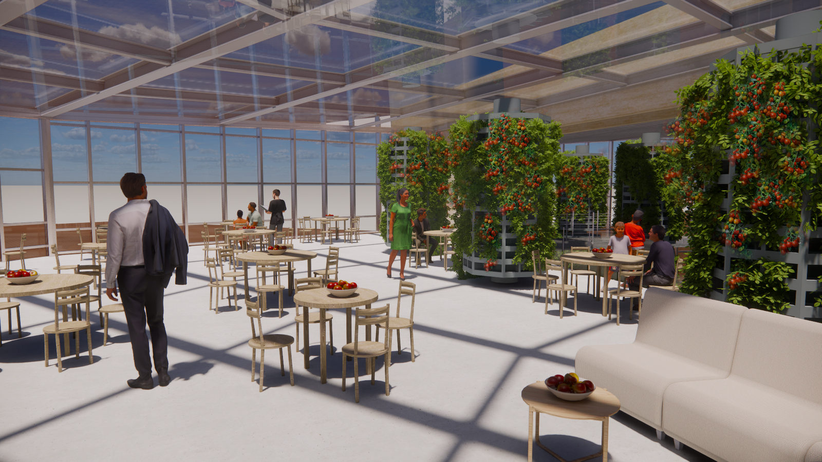 Restaurant Island — concours — photo 8
